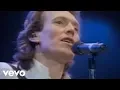 Lagu Steve Winwood - Back In The High Life Again