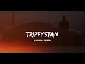 TRIPPYSTAN - Music ( Slowed Reverb) 