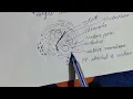 Cell Nucleus Component of Nucleus Nuclear Envelope Nucleoplasm Chromosome DNA Nucleolus Chromatin