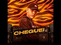 Cheguei