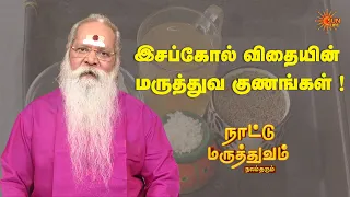 இசப்கோல் விதையின் மருத்துவ குணங்கள் ! | Nattu Maruthuvam | Sun Life