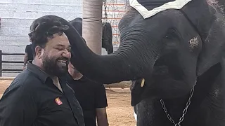 Thailand এ Elephant শো তে সবাই  হাঁতির সাথে খেললো 