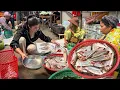 Download Lagu Market show : Buy river fish and cooking | Have you ever cooked these fishes before?