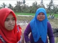 Download Lagu Tugas bahasa madura | Mangkana asakola