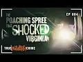True Wildlife Crime The Poaching Spree That Shocked Southwest Virginia