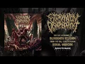 Download Lagu Extermination Dismemberment - Bloodbath Religion [OFFICIAL HD AUDIO]