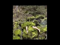 Луговые Мари - Я дома