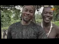 African Native Bullet proof that can withstand any even its AK47