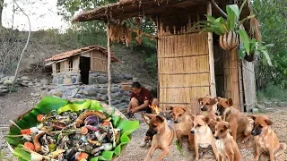 survival in the rainforest woman cook three big ell for dog eating delicious