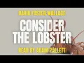 Consider the Lobster by David Foster Wallace
