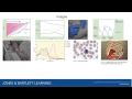 Respiratory Care Patient Assessment and Care Plan Development