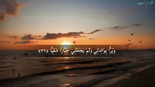 چه سوره زیبا با چه تلاوت دلنشین دندنها