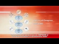 genealogy project