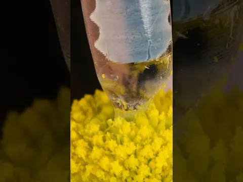 Sticky Ear Swabs and Flower