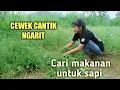 BERANGKAT NGARIT || Elva Silvi