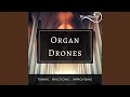 Download Lagu Organ Drone A#/Bb