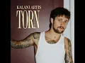 Torn