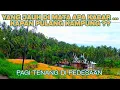 Download Lagu Sangat Mencuri Hati Suasana Pagi Tenang di Kampung !!! Pedesaan Sumatera Barat