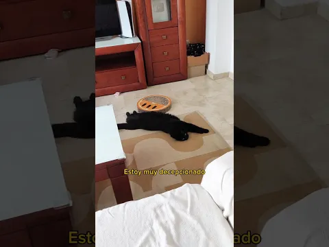 Hoy es un día muy triste para mi
