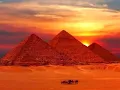 يا نسمة الحرية  _ محمد عبد الوهاب