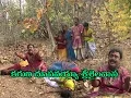 Lagu Karuna Chupavayya Srishailavasa  Song By Harika Tv