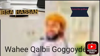 AKKATA QALBII QULQULLUUN AMIIIIN JEDHAANII MILAWAAN ONNEE JIISUU 