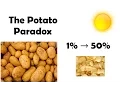 1 is 50 The Potato Paradox