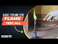 Flame test class 11th and 12th chemistry Salt analysis a2zpractical991
