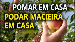 Poda de Macieira em Casa com Sergio Semerdjian