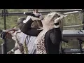 Download Lagu Mango Groove - Faces to the Sun (Official Music Video)