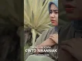 Download Lagu Lagu Minang terbaru 2023INDAH ANDESRA - CINTO SI BANSAIK