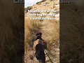 Tucson Is One of the Most Dog Friendly Cities in the US