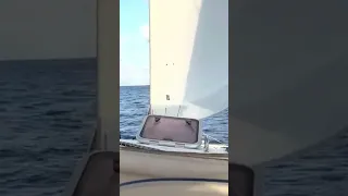 Some lovely sailing in French Polly! ⛵️#sailingfamily #sailing #frenchpolynesia #family