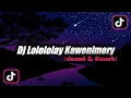 Download Lagu Dj Lolelolay Kawenimery Viral (Slowed \u0026 Reverb)🎧
