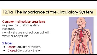 Open vs Closed Circulatory Simple