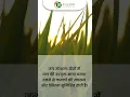 Download Lagu Plant the seeds of prosperity and watch happiness bloom