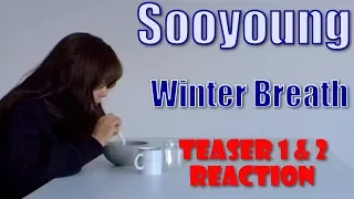 Download Sooyoung (수영) | Winter Breath - MV Teaser (1 \u0026 2) MP3