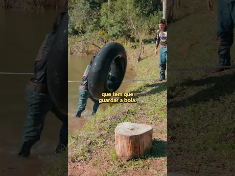 QUASE CAI NO LAGO