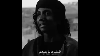 لقد ولدت آمنه دندنها