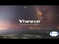 Download Lagu Megan Thee Stallion - Whenever (Clean - Lyrics)