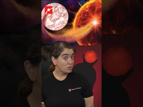 What Are Vampire Stars?