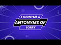 Synonyms Antonyms Of Sorry