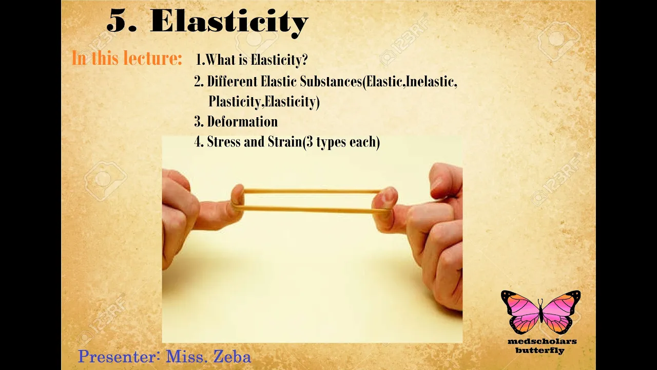 Elasticity (Part 1)