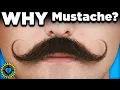 Lagu The Mustache is Making a COMEBACK... But Why? | Style Theory