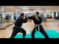 Lagu NINJUTSU Uscite e attacco con shuto  / defence from strike and attack with shuto