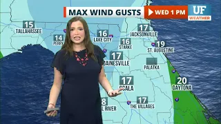 Local forecast for Gainesville-Ocala - May 19 2021 12 am ET
