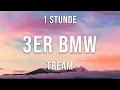 Tream - 3ER BMW - 1 Stunde