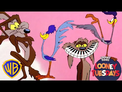 Download MP3 Looney Tuesdays | Iconic Duo: Wile E. Coyote & Road Runner | Looney Tunes | WB Kids