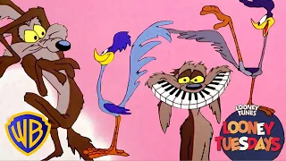 Looney Tuesdays Iconic Duo Wile E Coyote Road Runner Looney Tunes WB Kids