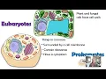 Cell Organelles Updated AP biology topics 2 1 2 2